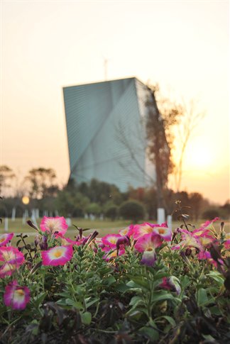 UNNCPIC201012004